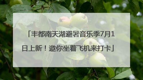丰都南天湖避暑音乐季7月1日上新！邀你坐着飞机来打卡