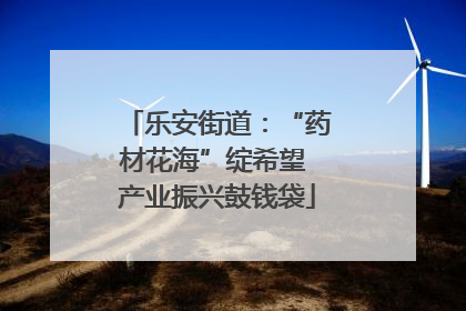 乐安街道：“药材花海”绽希望 产业振兴鼓钱袋