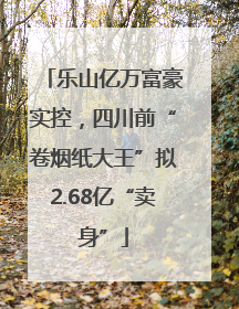 乐山亿万富豪实控，四川前“卷烟纸大王”拟2.68亿“卖身”