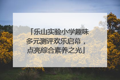 乐山实验小学趣味多元测评欢乐启幕，点亮综合素养之光