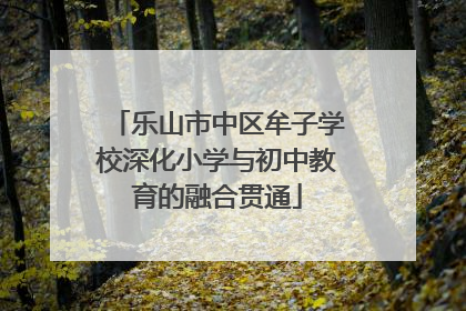 乐山市中区牟子学校深化小学与初中教育的融合贯通