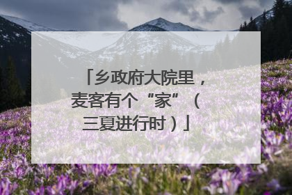 乡政府大院里，麦客有个“家”（三夏进行时）