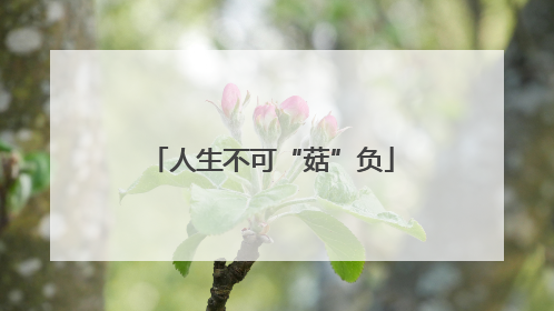 人生不可“菇”负