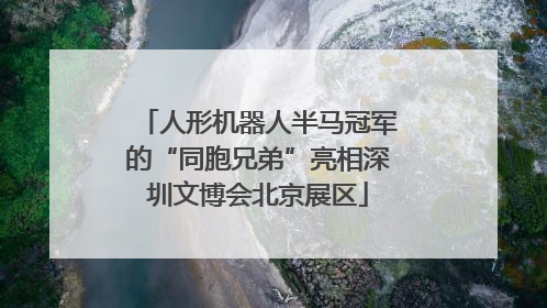 人形机器人半马冠军的“同胞兄弟”亮相深圳文博会北京展区