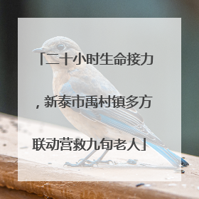 二十小时生命接力，新泰市禹村镇多方联动营救九旬老人