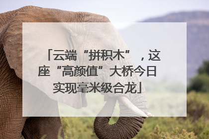 云端“拼积木”，这座“高颜值”大桥今日实现毫米级合龙