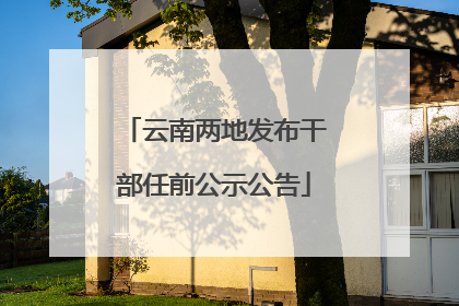 云南两地发布干部任前公示公告