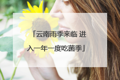 云南雨季来临 进入一年一度吃菌季