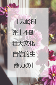 云岭时评丨不断壮大文化自信的生命力②