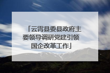 云霄县委县政府主要领导调研党建引领国企改革工作
