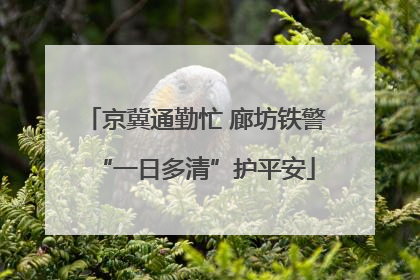 京冀通勤忙 廊坊铁警“一日多清”护平安