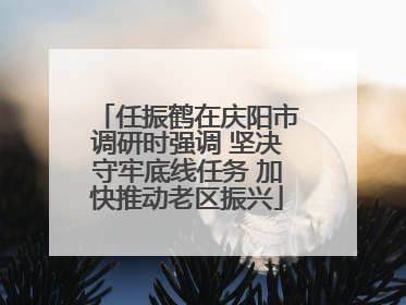 任振鹤在庆阳市调研时强调 坚决守牢底线任务 加快推动老区振兴