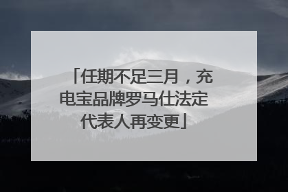 任期不足三月，充电宝品牌罗马仕法定代表人再变更