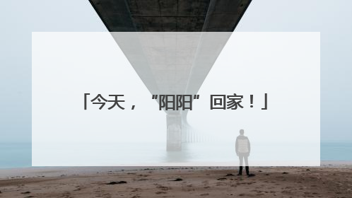 今天，“阳阳”回家！