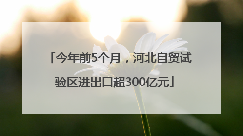 今年前5个月，河北自贸试验区进出口超300亿元
