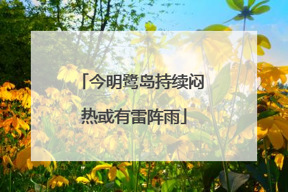 今明鹭岛持续闷热或有雷阵雨