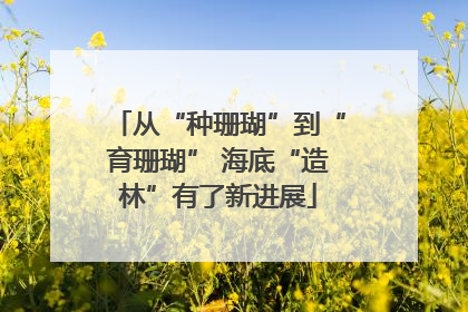 从“种珊瑚”到“育珊瑚” 海底“造林”有了新进展