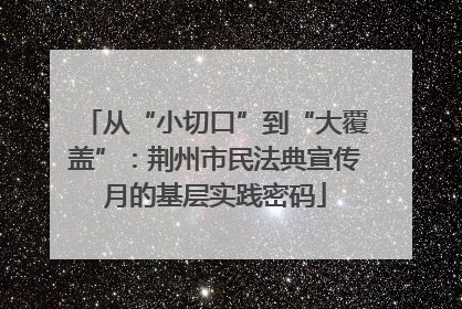 从“小切口”到“大覆盖”：荆州市民法典宣传月的基层实践密码