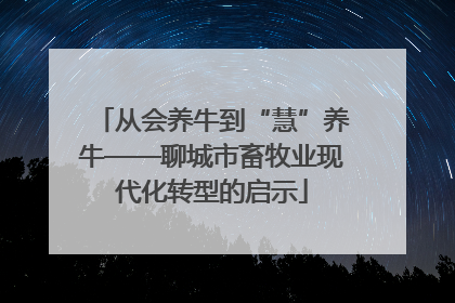 从会养牛到“慧”养牛——聊城市畜牧业现代化转型的启示