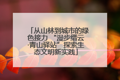 从山林到城市的绿色接力 “漫步缙云·青山驿站”探索生态文明新实践