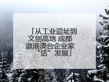 从工业遗址到文创高地 成都邀港澳台企业家“话”发展