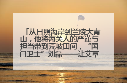 从日照海岸到兰陵大青山，他将海关人的严谨与担当带到荒坡田间，“国门卫士”刘磊——让艾草长成“生钱草”