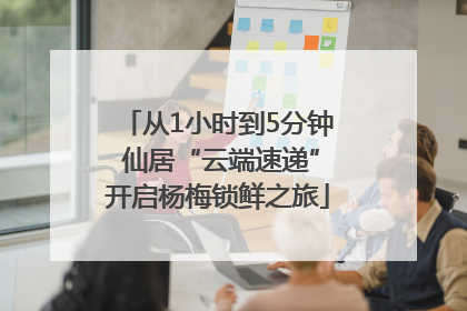 从1小时到5分钟 仙居“云端速递”开启杨梅锁鲜之旅