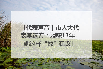 代表声音｜市人大代表李远方：履职13年 她这样“找”建议