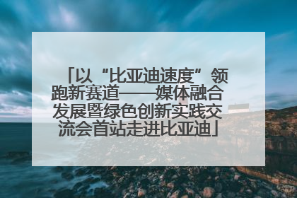 以“比亚迪速度”领跑新赛道——媒体融合发展暨绿色创新实践交流会首站走进比亚迪
