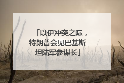 以伊冲突之际，特朗普会见巴基斯坦陆军参谋长