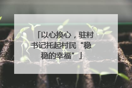 以心换心，驻村书记托起村民“稳稳的幸福”