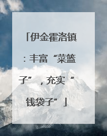 伊金霍洛镇：丰富“菜篮子”，充实“钱袋子”