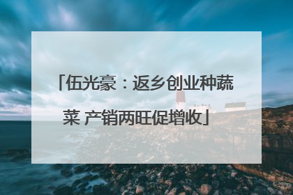 伍光豪：返乡创业种蔬菜 产销两旺促增收