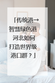 传统港→智慧绿色港 河北如何打造世界级港口群？