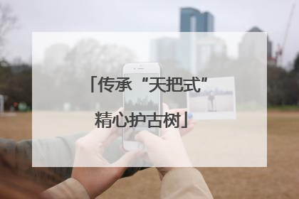 传承“天把式” 精心护古树