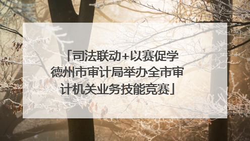 司法联动+以赛促学 德州市审计局举办全市审计机关业务技能竞赛