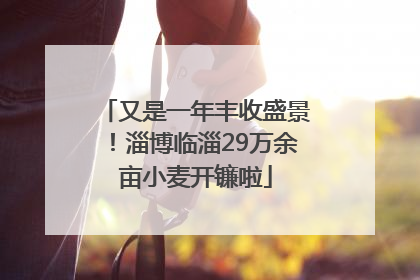 又是一年丰收盛景！淄博临淄29万余亩小麦开镰啦
