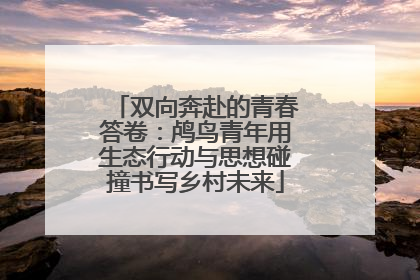 双向奔赴的青春答卷：鸬鸟青年用生态行动与思想碰撞书写乡村未来