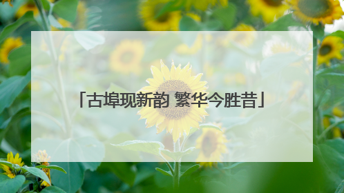 古埠现新韵 繁华今胜昔