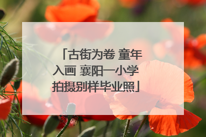 古街为卷 童年入画 襄阳一小学拍摄别样毕业照