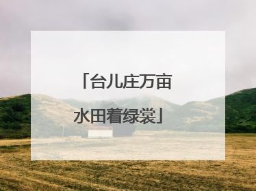 台儿庄万亩水田着绿裳