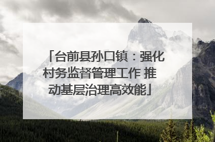 台前县孙口镇：强化村务监督管理工作 推动基层治理高效能