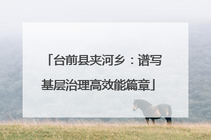 台前县夹河乡：谱写基层治理高效能篇章