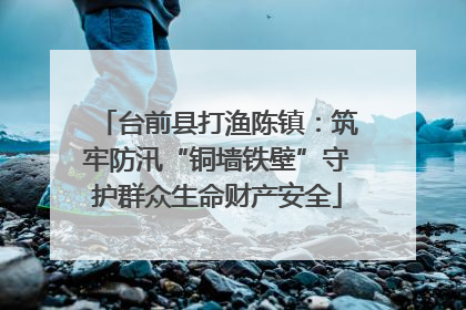 台前县打渔陈镇：筑牢防汛“铜墙铁壁”守护群众生命财产安全