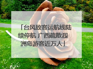 台风致客运航线陆续停航 广西疏散涠洲岛游客近万人