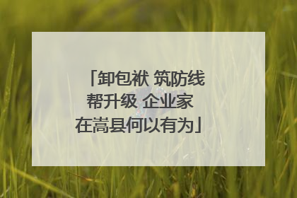 卸包袱 筑防线 帮升级 企业家在嵩县何以有为