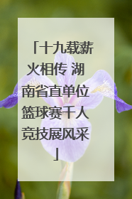 十九载薪火相传 湖南省直单位篮球赛千人竞技展风采