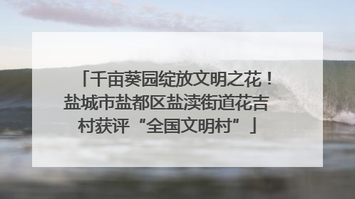 千亩葵园绽放文明之花！盐城市盐都区盐渎街道花吉村获评“全国文明村”