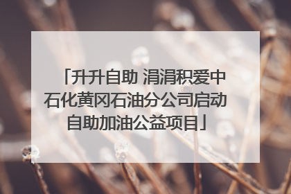 升升自助 涓涓积爱中石化黄冈石油分公司启动自助加油公益项目