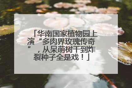 华南国家植物园上演“多肉界玫瑰传奇”，从呆萌树干到炸裂种子全是戏！
